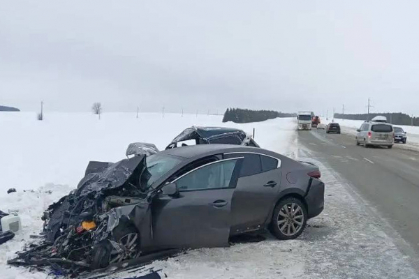 В Удмуртии иномарка влетела в Ниву
