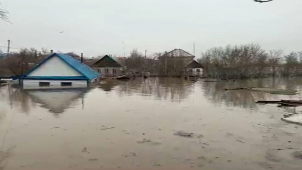Село Новоишимское подтопило в СКО. LIVE