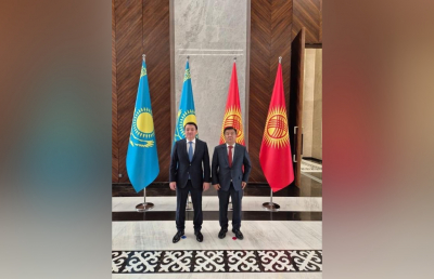 Казахстан и Кыргызстан переходят к модели «удобной цифровой границы»