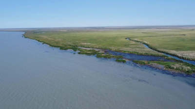 Ирригация и экология: объём воды в Балхаше увеличился на 2 млрд кубометров
