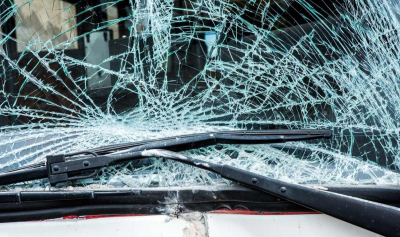 Орлан пробил лобовое стекло авто котом