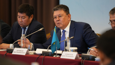 "Это уже не просто цифры - это реальная угроза", - Бозумбаев обратился к странам ЦА