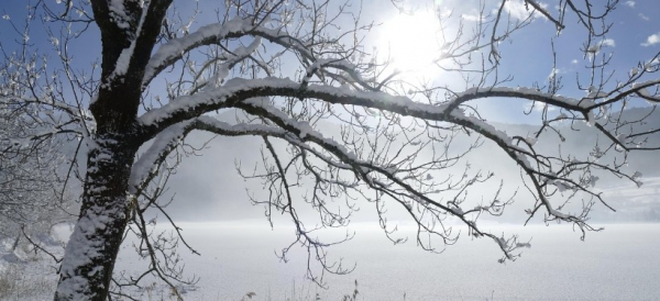 Резкие перепады температуры до -35 ожидаются в ряде регионов Казахстана