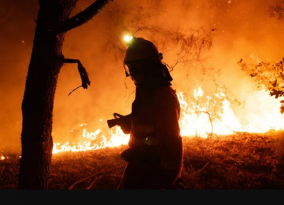 Сельское хозяйство Испании из-за пожаров понесло убытки в 600 миллионов евро