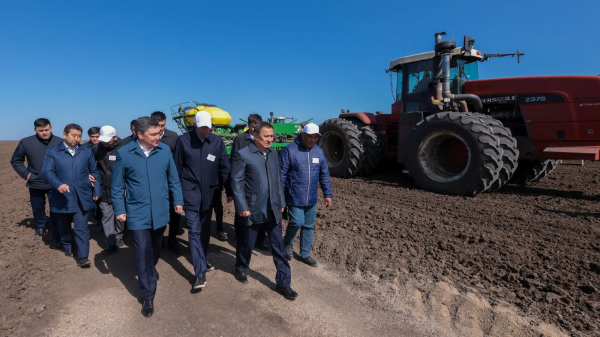 В Алматинской области построят крупнейшую в СНГ птицефабрику