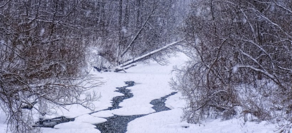 Штормовое предупреждение из-за гололеда и метели объявили в ряде регионов Казахстана