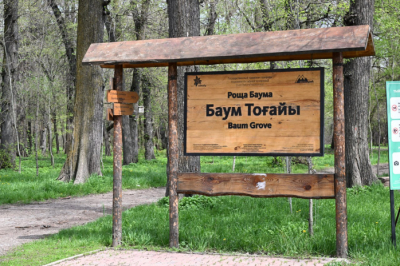 О новшествах при реконструкции рощи Баума рассказали в акимате