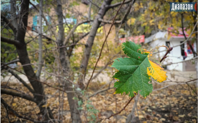 Погода в Актобе на 27-29 сентября. Холода сменили тепло в городе