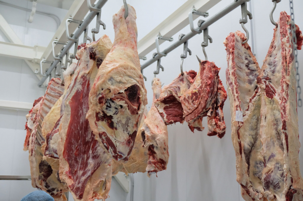 Завалят полки, собьют цены