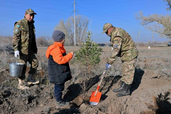 Свой дендрарий