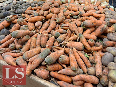 Морковь и капуста подешевели, курица и масло подорожали: как изменились цены в стране