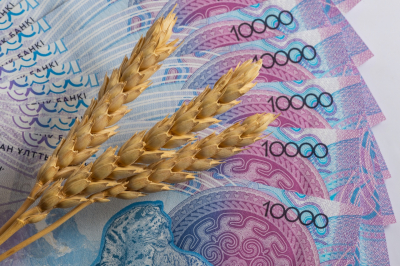 Зерно истинного качества